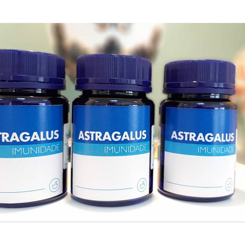 ASTRAGALUS NA IMUNIDADE