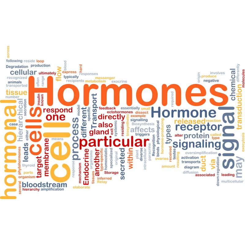 MENOPAUSA E HORMÔNIOS BIOIDÊNTICOS